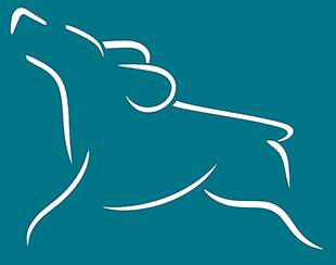 Logo Fundación Pa' Perros